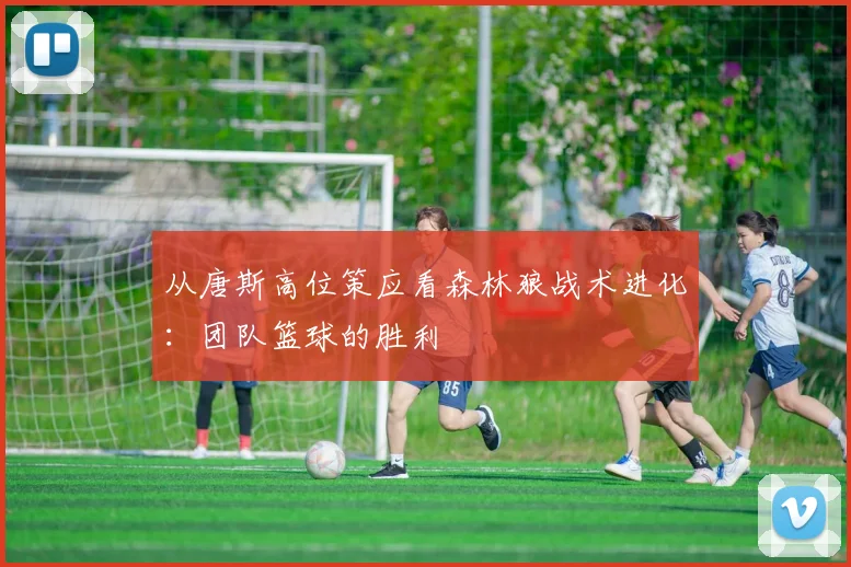 从唐斯高位策应看森林狼战术进化:团队篮球的胜利