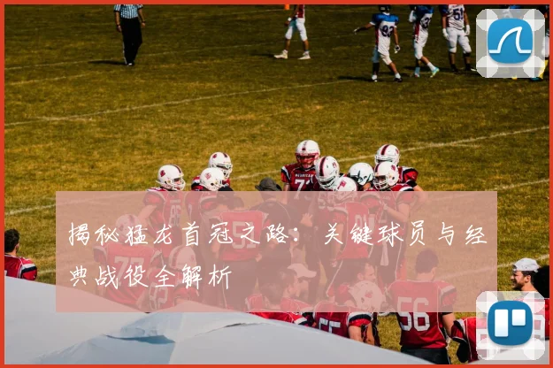 揭秘猛龙首冠之路：关键球员与经典战役全解析