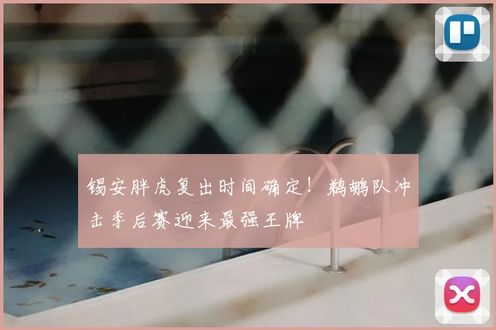 锡安胖虎复出时间确定！鹈鹕队冲击季后赛迎来最强王牌